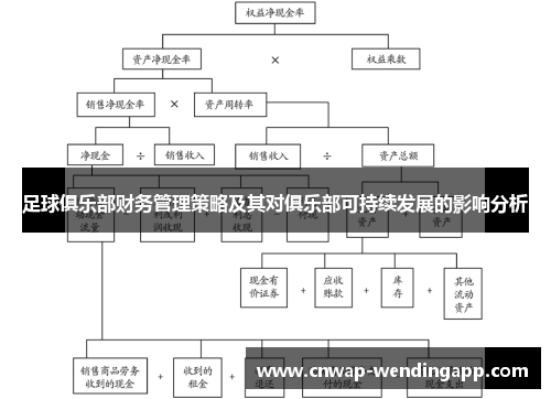 足球俱乐部财务管理策略及其对俱乐部可持续发展的影响分析