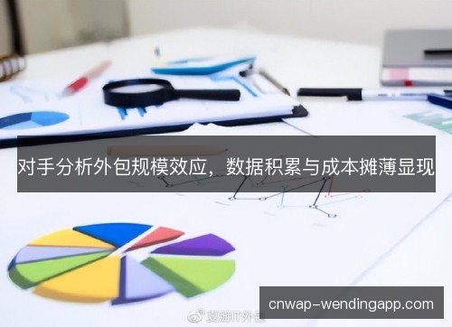 对手分析外包规模效应，数据积累与成本摊薄显现